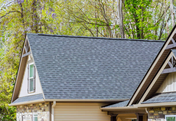 Best Solar Panel Roofing Installation  in Granbury, TX